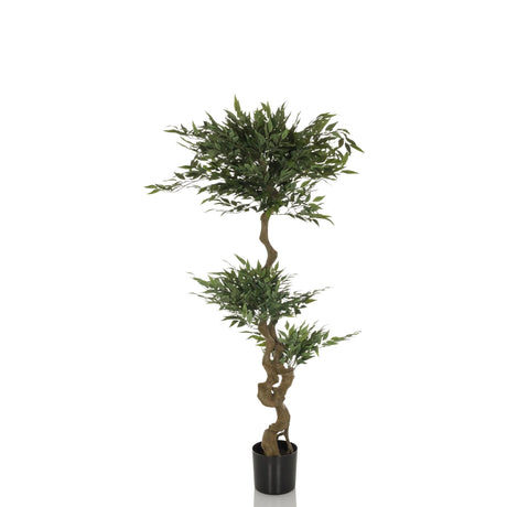 Grøn Kunstige plante ACACIA med buet brun stamme i sort potte fra hjh OFFICE