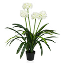 Kunstige plante AGAPANTHUS med hvide blomster, grønne blade og sort potte fra hjh OFFICE