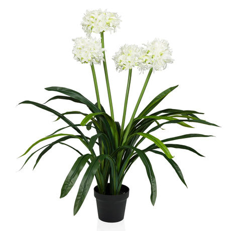 Kunstige plante AGAPANTHUS med hvide blomster, grønne blade og sort potte fra hjh OFFICE