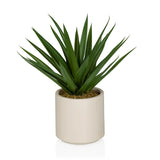 Agave - Kunstige plante 