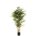 Kunstige plante BAMBUS II i grøn med bambuslignende stængler og en sort potte fra hjh OFFICE