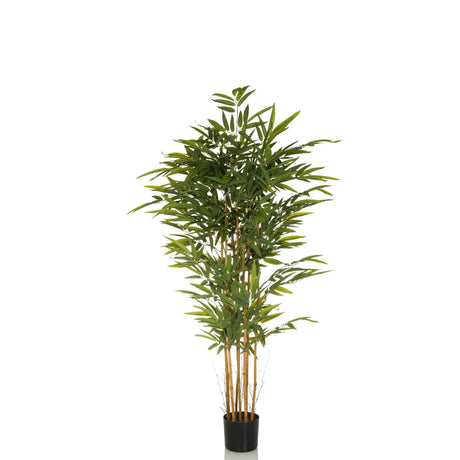 Kunstige plante BAMBUS II i grøn med bambuslignende stængler og en sort potte fra hjh OFFICE