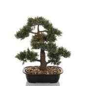 Kunstige plante BONSAI i form af en grøn bonsai i en sort skål med småsten fra hjh OFFICE