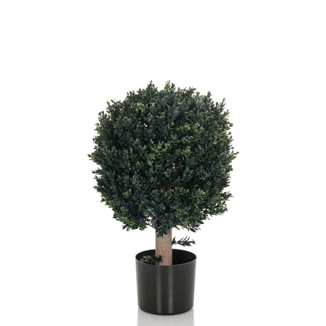 Kunstige plante BUXUS i grøn med kugleformet krone i en sort potte fra hjh OFFICE