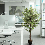 Grøn kunstig plante FICUS i en sort potte ved siden af et skrivebord fra hjh OFFICE
