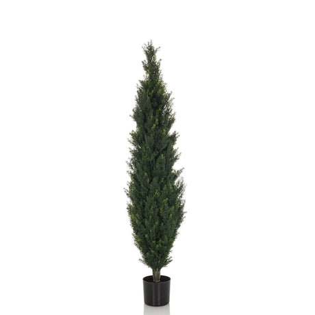 Grøn Kunstige plante CEDRUS i slank form med sort plantepotte fra hjh OFFICE