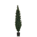 Grøn Kunstige plante CEDRUS i slank form med sort plantepotte fra hjh OFFICE