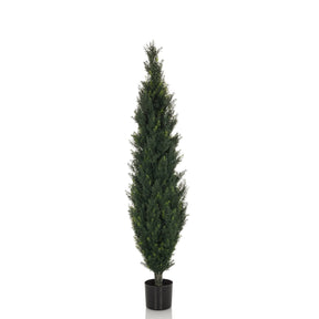 Grøn Kunstige plante CEDRUS i slank form med sort plantepotte fra hjh OFFICE