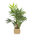 Kunstige plante CHAMAEDOREA i grøn farve med flettet overpotte af naturmateriale fra hjh OFFICE