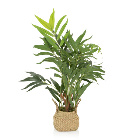 Kunstige plante CHAMAEDOREA i grøn farve med flettet overpotte af naturmateriale fra hjh OFFICE