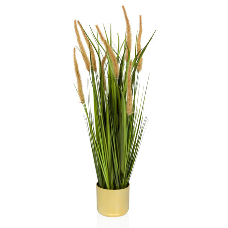 Kunstige plante CORTADERIA I i beige og grøn med guldfarvet potte fra hjh OFFICE