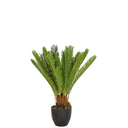 Grøn Kunstige plante CYCAS med bregneagtige blade i en sort potte fra hjh OFFICE