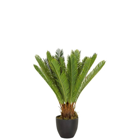 Grøn Kunstige plante CYCAS med bregneagtige blade i en sort potte fra hjh OFFICE