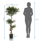 Måltegning af den Kunstige plante ACACIA med en højde på 155 cm fra hjh OFFICE
