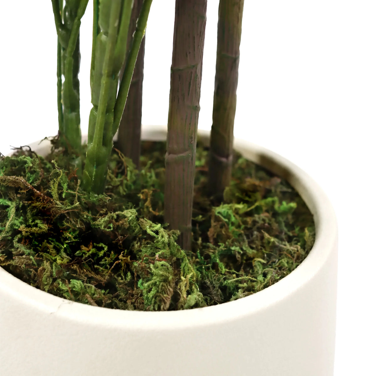 Stængler og mosbund på den Kunstige plante Schefflera 2 i en hvid potte fra hjh OFFICE