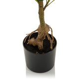 Stamme og rodområde på den kunstige plante SCHEFFLERA i en sort potte fra hjh OFFICE