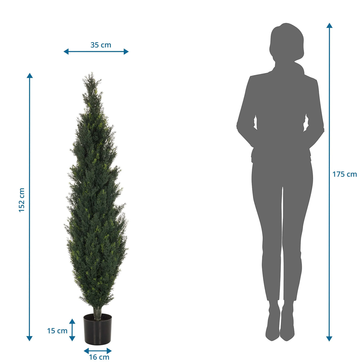 Måltegning af den Kunstige plante CEDRUS med en højde på 152 cm fra hjh OFFICE