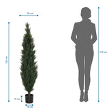 Måltegning af den Kunstige plante CEDRUS med en højde på 152 cm fra hjh OFFICE