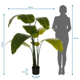 Måltegning af den Kunstige plante BANANE med en højde på 170 cm og en bredde på 60 cm fra hjh OFFICE