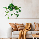 Grøn Kunstige plante MONSTERA CLIMB som hængeplante foran en lys væg fra hjh OFFICE