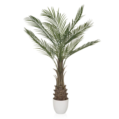 Grøn Kunstige plante DRACAENA med vifteformede palmeblade i en hvid potte fra hjh OFFICE