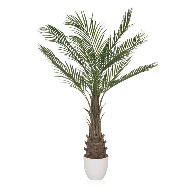 Grøn Kunstige plante DRACAENA med vifteformede palmeblade i en hvid potte fra hjh OFFICE