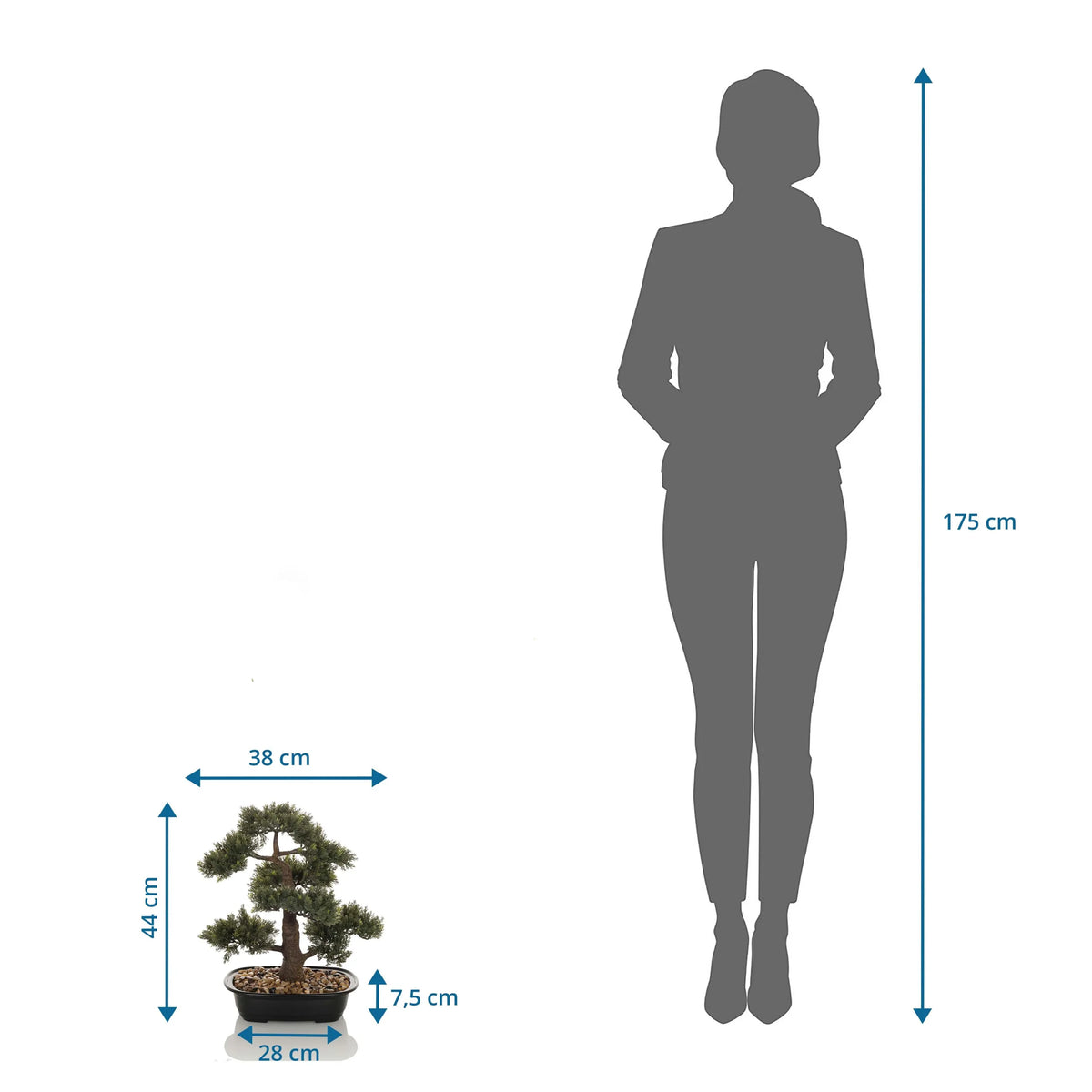 Målvisning af den Kunstige plante BONSAI med en højde på 44 cm i sammenligning med en person fra hjh OFFICE