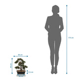 Målvisning af den Kunstige plante BONSAI med en højde på 44 cm i sammenligning med en person fra hjh OFFICE