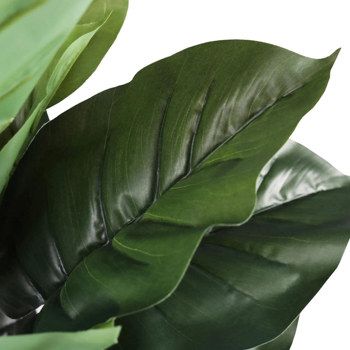Grüne Blätter der Kunstpflanze EPIPREMNUM von hjh OFFICE