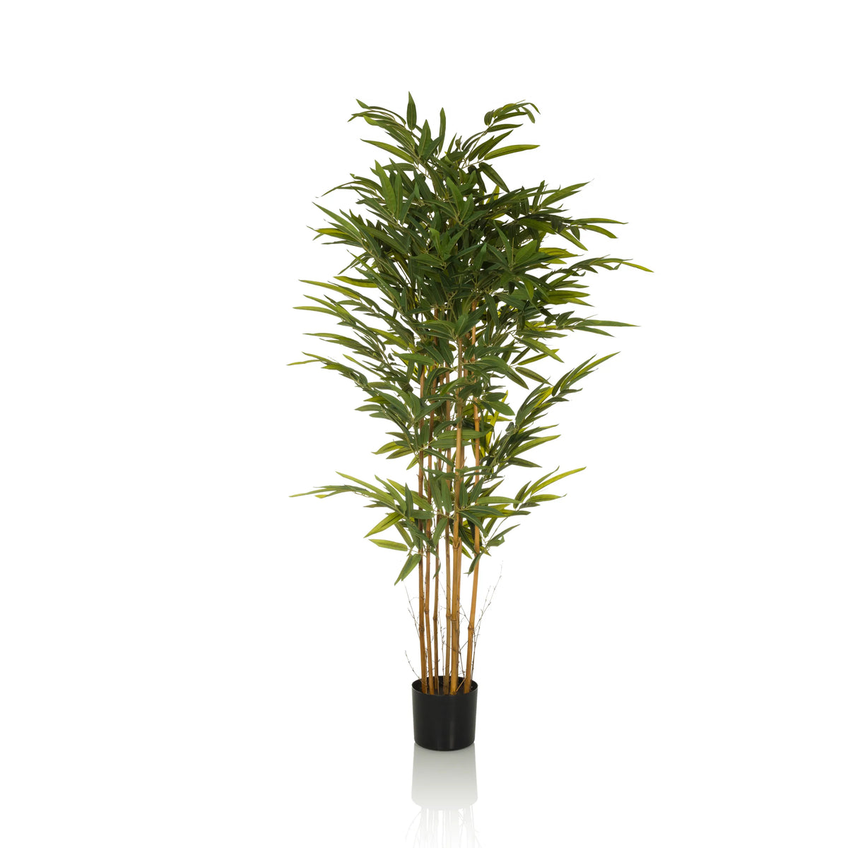 Grøn Kunstige plante BAMBUS II formet som en bambus med sort plantekrukke fra hjh OFFICE – 360-graders visning (forfra 0°)