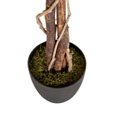 Stammer og potte med grønt mos fra den Kunstige plante FICUS fra hjh OFFICE