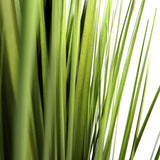 Grønne blade fra den kunstige plante CORTADERIA fra hjh OFFICE