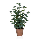 Eucalyptus - Kunstige plante 