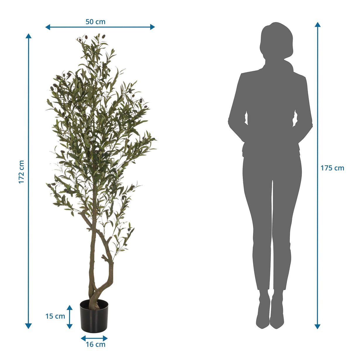 Måltegning af den Kunstige plante OLIVE I med en højde på 172 cm fra hjh OFFICE
