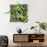 Grøn Plantemåtte LEAFLUXE WALL 1 med forskellige mosser og bregner i en træramme fra hjh LIVING
