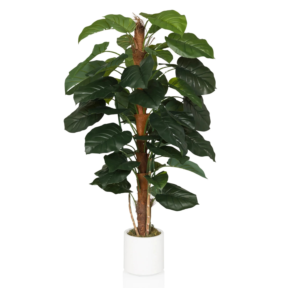EPIPREMNUM - Kunstige plante 