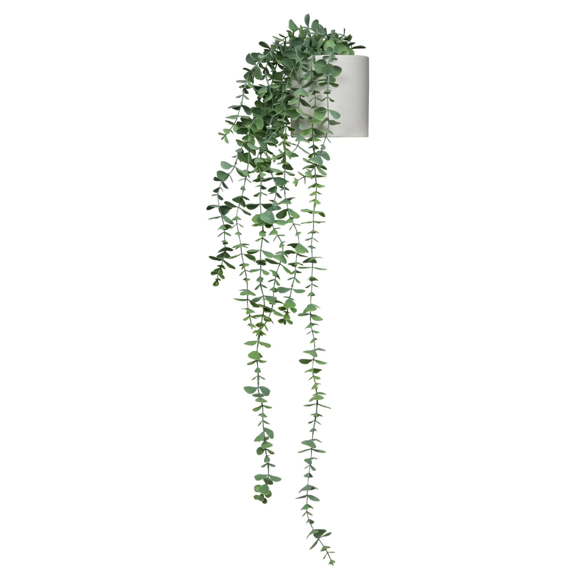 EUCALYPTUS CLIMB - Kunstpflanze - buerostuhl24
