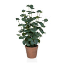 Kunstige plante Eucalyptus i grøn farve med runde blade i en brun lerpotte fra hjh OFFICE