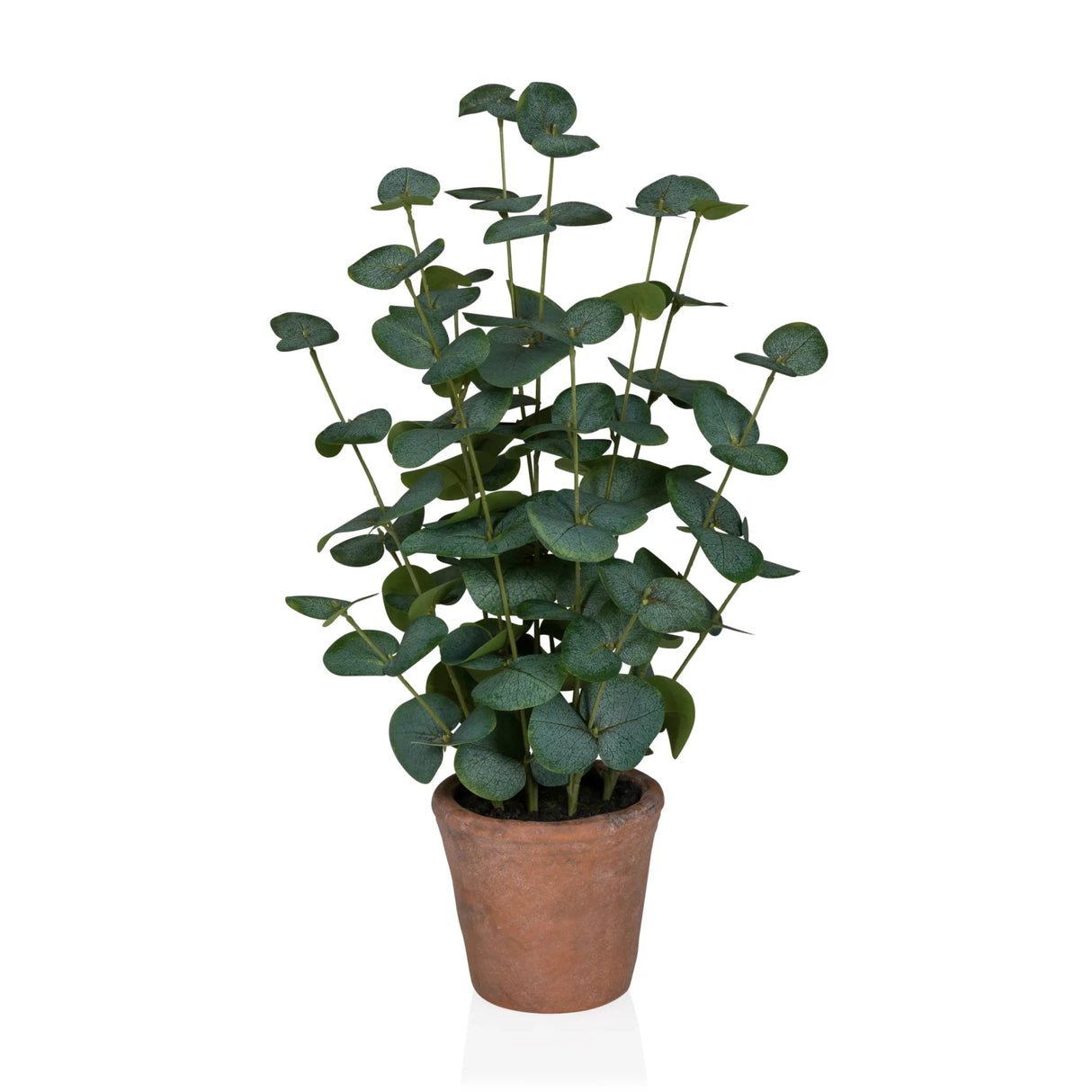 Eucalyptus - Kunstige plante 