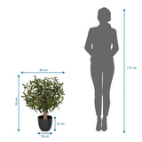 Målvisning af den Kunstige plante Olive S med en højde på 70 cm og bredde på 45 cm fra hjh OFFICE