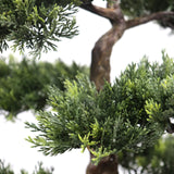 Grønne nålegrene og brun stamme på den kunstige plante BONSAI fra hjh OFFICE