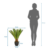 Måltegning af den Kunstige plante CYCAS med en højde og bredde på hver 70 cm fra hjh OFFICE