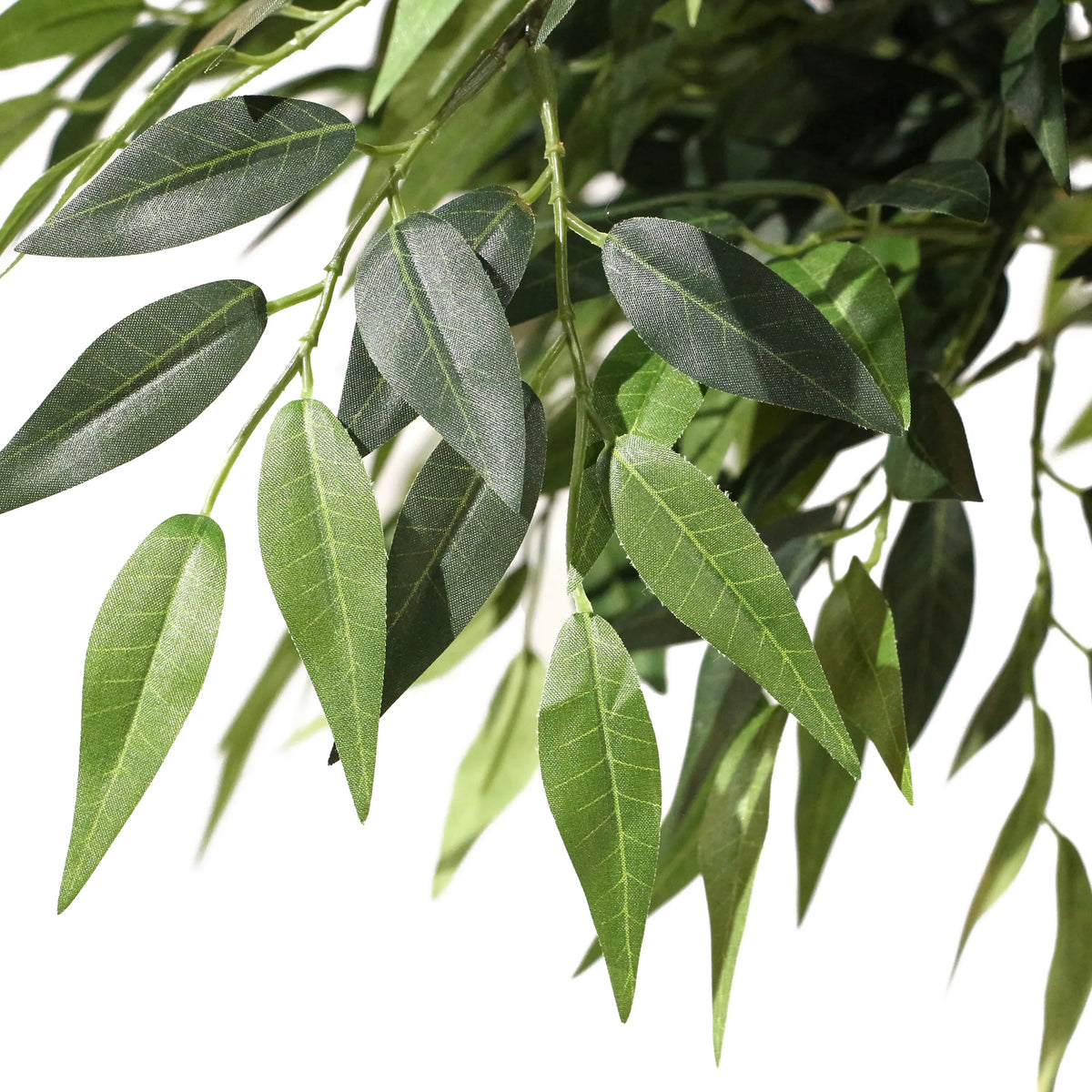 Grønne blade fra den kunstige plante ACACIA fra hjh OFFICE