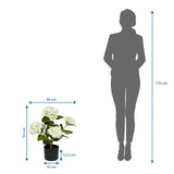 Måltegning af den Kunstige plante HYDRANGEA med en højde på 52 cm og bredde på 30 cm fra hjh OFFICE