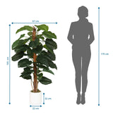 Måltegning af den Kunstige plante EPIPREMNUM med en højde på 155 cm og bredde på 67 cm fra hjh OFFICE
