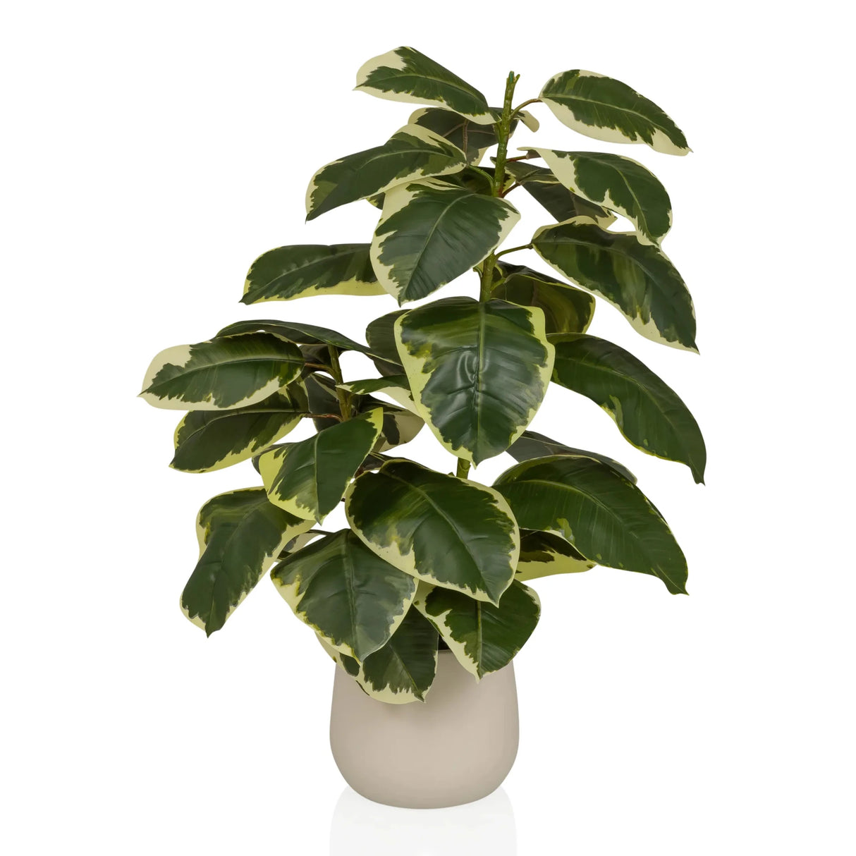 Ficus 3 - Kunstige plante 