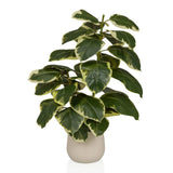 Ficus 3 - Kunstige plante 