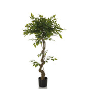 Grøn Kunstige plante FICUS I med snoet stamme i en sort potte fra hjh OFFICE