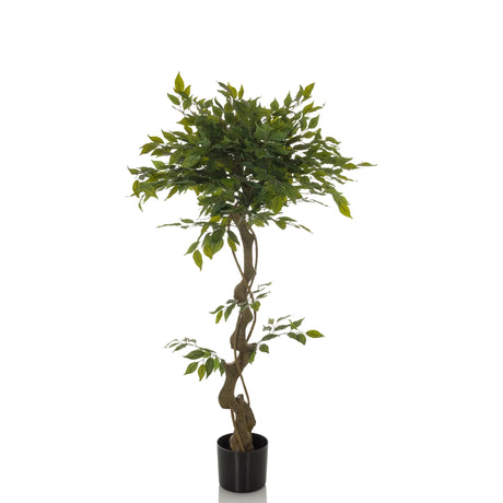 Grøn Kunstige plante FICUS I med snoet stamme i en sort potte fra hjh OFFICE