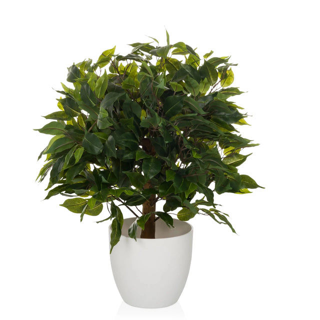 Kunstige plante FICUS II i grøn med tæt løv i en hvid potte fra hjh OFFICE